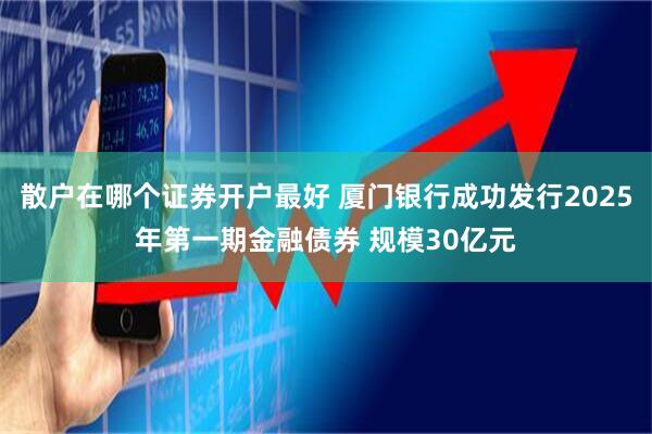 散户在哪个证券开户最好 厦门银行成功发行2025年第一期金融债券 规模30亿元