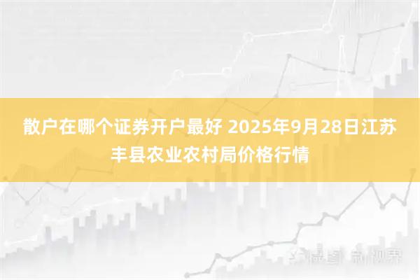 散户在哪个证券开户最好 2025年9月28日江苏丰县农业农村局价格行情