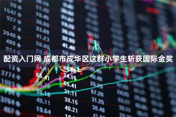 配资入门网 成都市成华区这群小学生斩获国际金奖