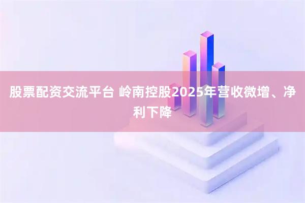股票配资交流平台 岭南控股2025年营收微增、净利下降