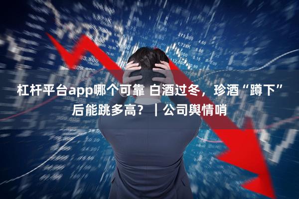 杠杆平台app哪个可靠 白酒过冬，珍酒“蹲下”后能跳多高？｜公司舆情哨